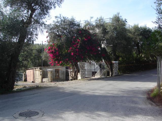 Natsios Studios Gaios Bagian luar foto