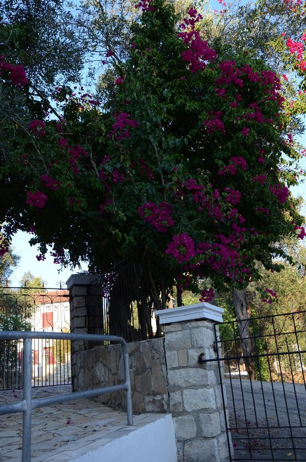 Natsios Studios Gaios Bagian luar foto